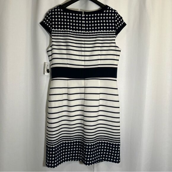 NWT Dress Barn Navy White Dot Dress Button Accent Short Sleeve Lined Size 14 - Picture 6 of 11